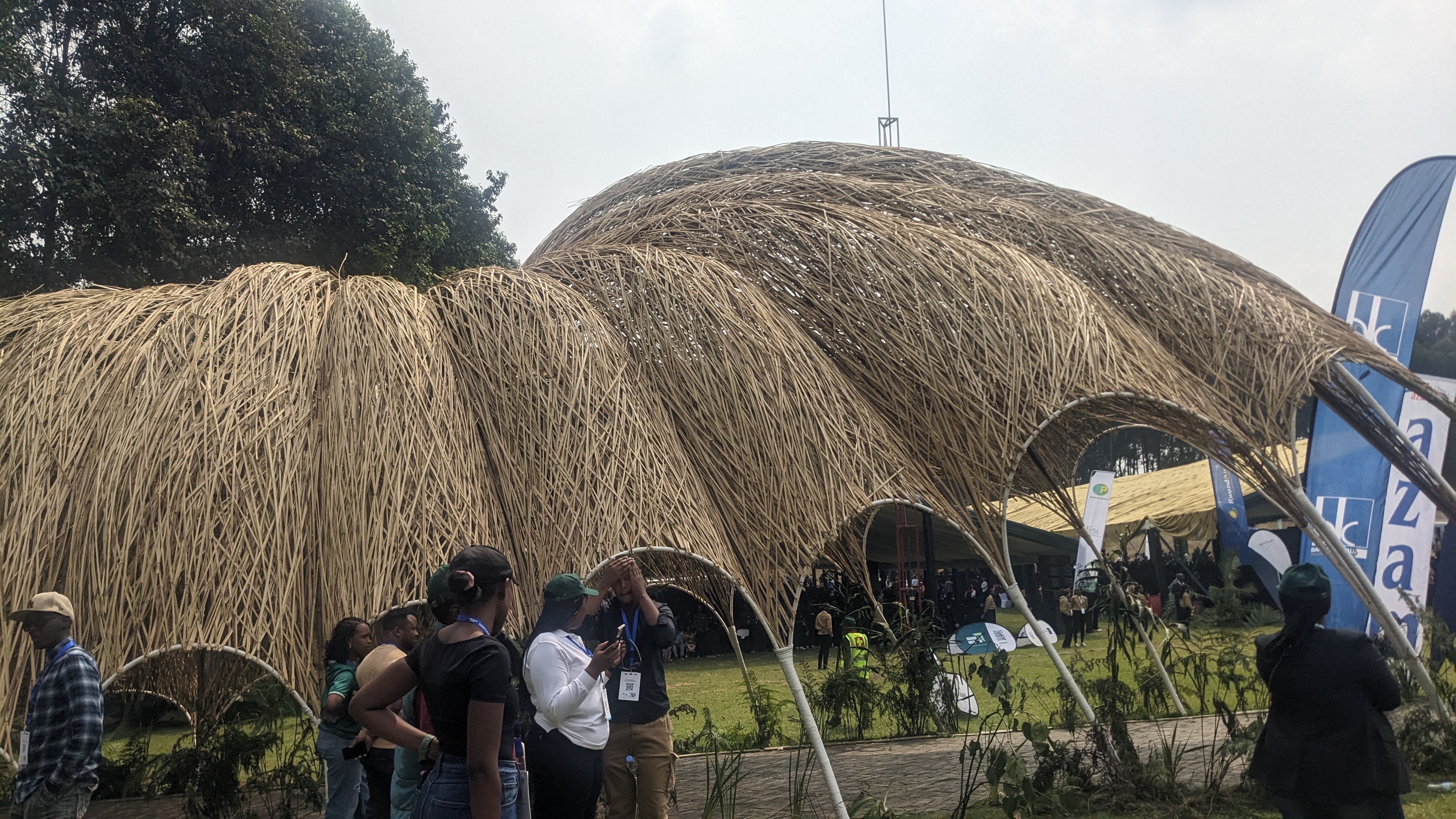 Forest trails Rwanda